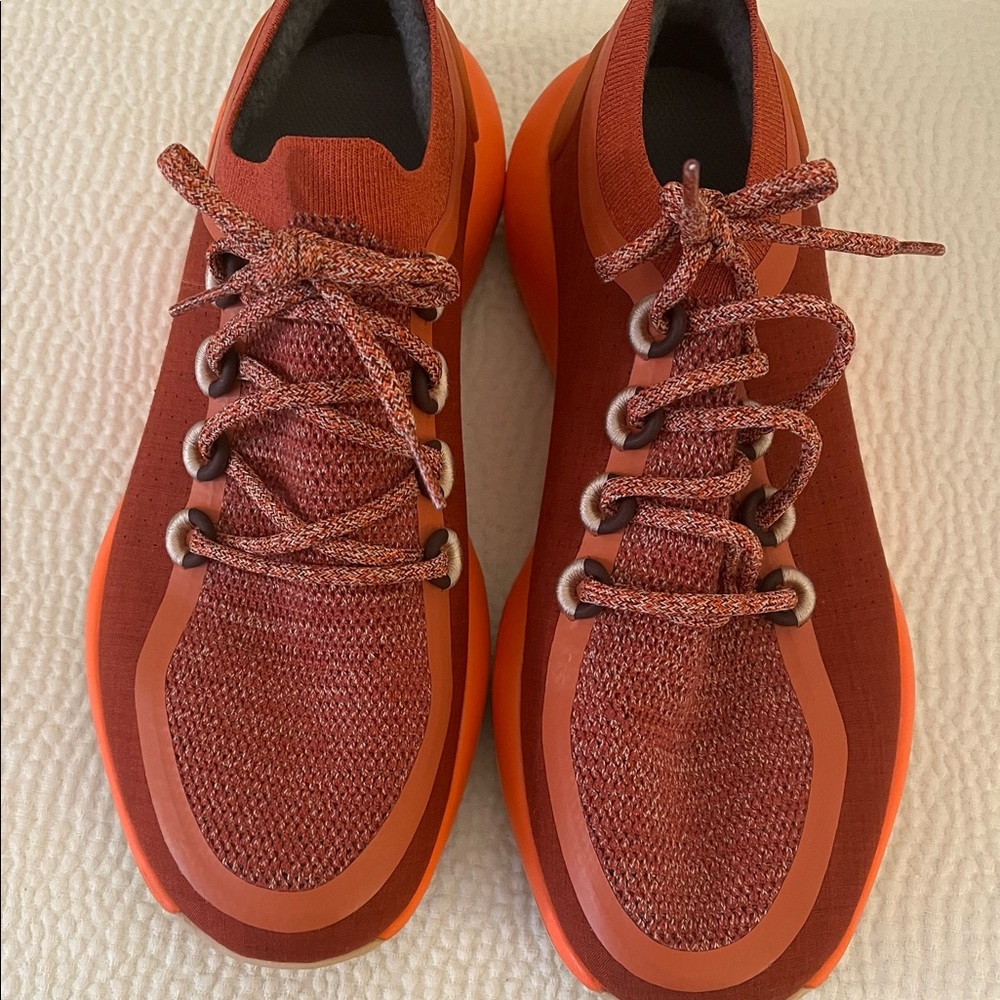 Allbirds shoes. Worn twice. Excellent condition